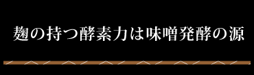 糀の持つ酵素力は味噌発酵の源